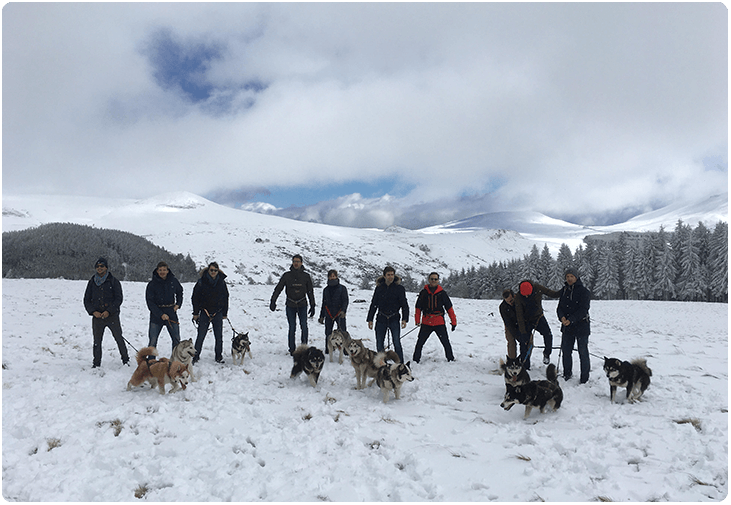 Randonnée canine Sancy 