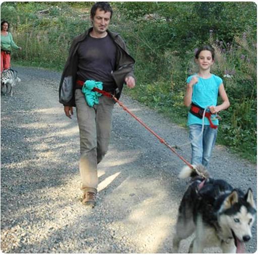 Randonnée canine Puy-de-Dôme (63)